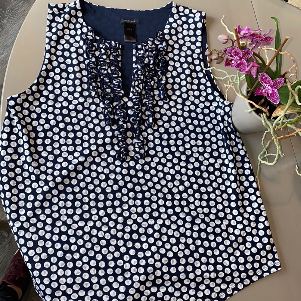 Ann Taylor Work Tank